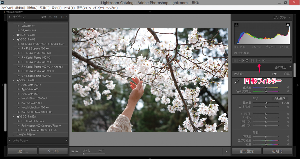 Lightroom 実践講座 段階フィルターと円形フィルターについて Reco