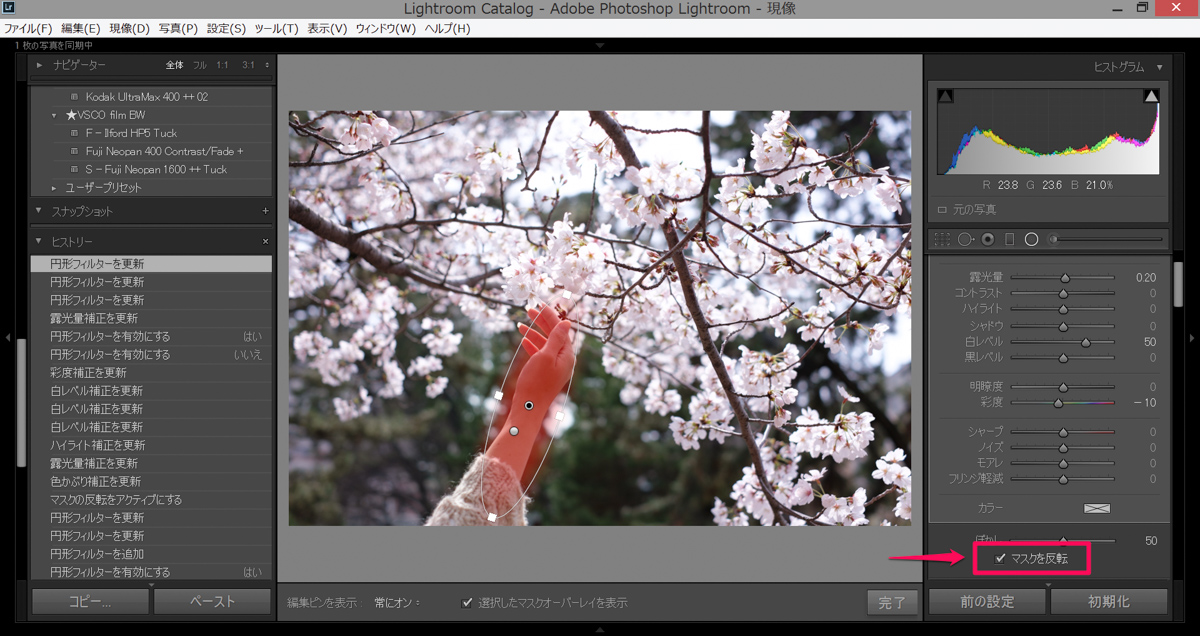 Lightroom 実践講座 段階フィルターと円形フィルターについて Reco