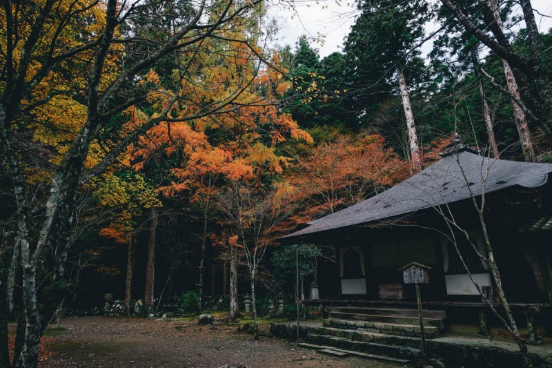 京都紅葉レポート2015 – 栂尾山 高山寺 | RECO