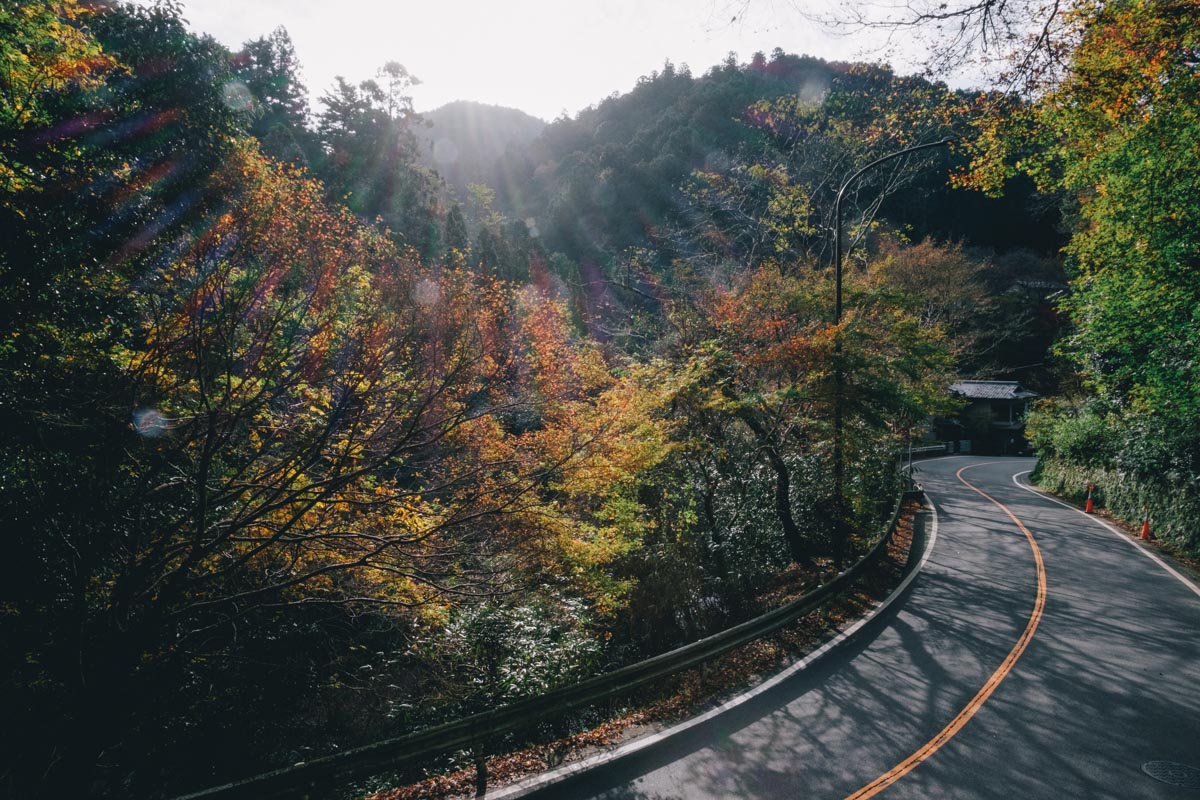 京都紅葉レポート2015 – 栂尾山 高山寺 | RECO