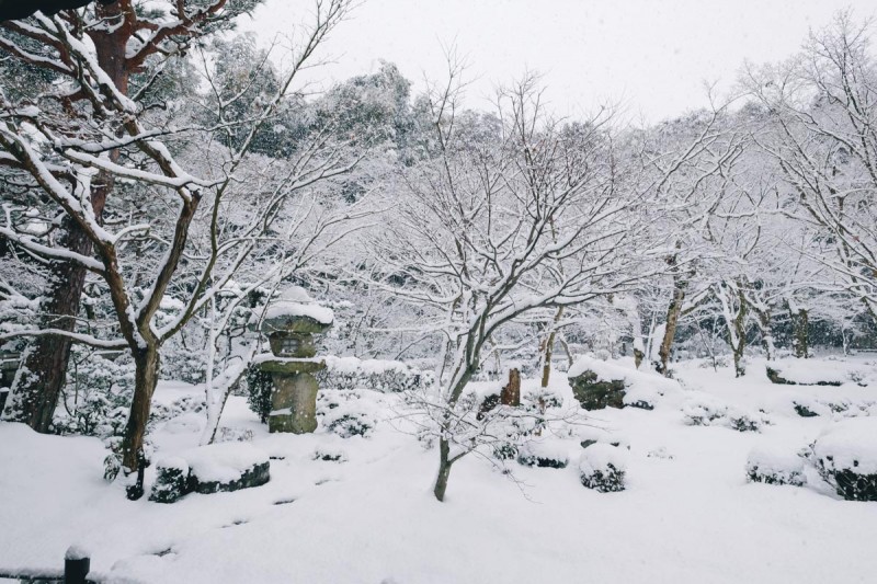 2016年 雪の京都