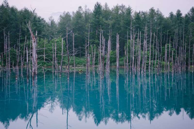 TakashiYasui-Hokkaido-13-