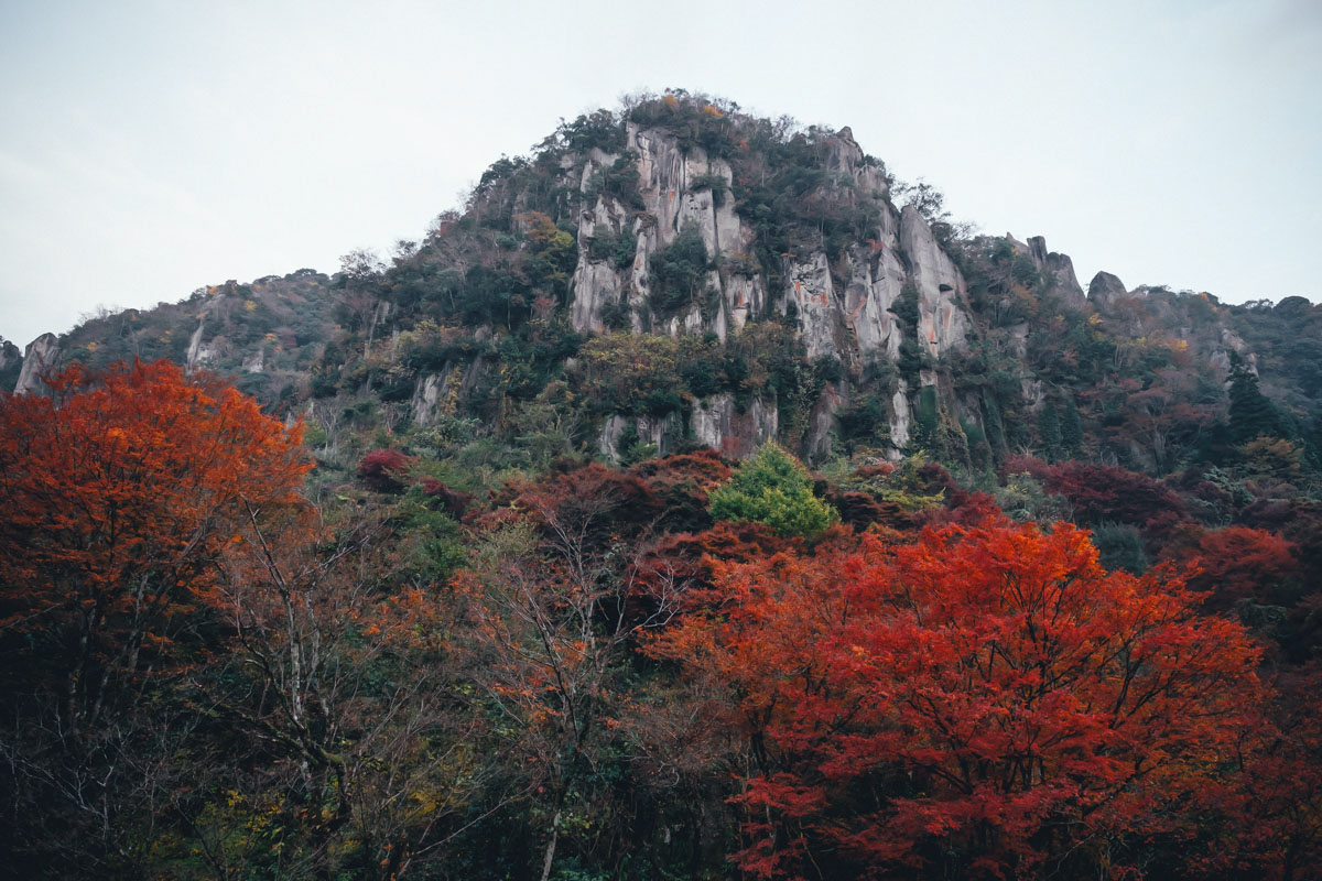 掛軸 広田超遊 渓谷之秋 木箱 紅葉 風景画 山水